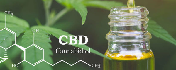 cbd shop france