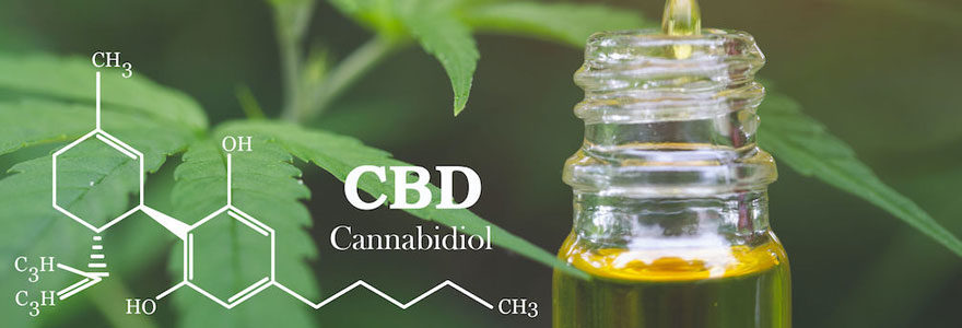 cbd shop france